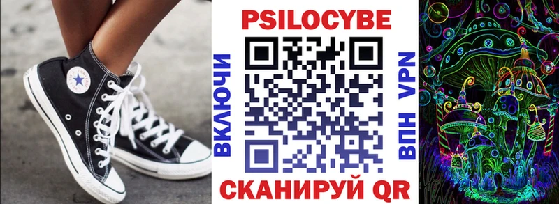 Псилоцибиновые грибы Cubensis Макушино